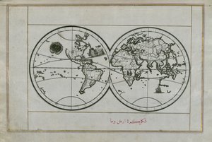 World Map in a Double Hemisphere
